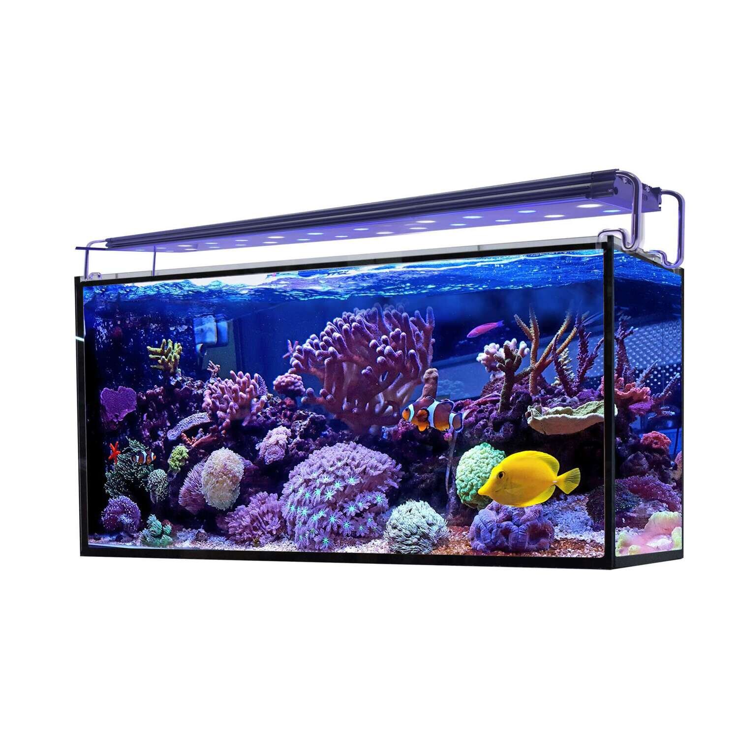 Acuario marino AQUA OCEAN Hydra 100x40x50 cm