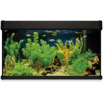 Kit AQUA LUX PRO 300 con filtro exterior 120x40x70 cm