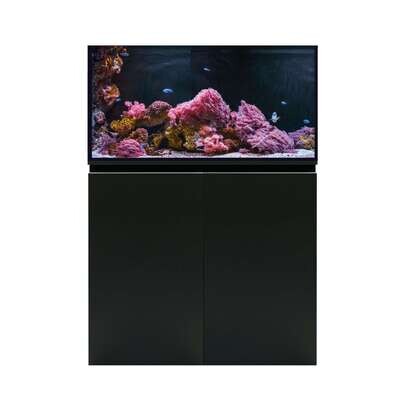Acuario marino con Sump AQUA OCEAN PRO (sin l�mpara) 100x50x140 cm