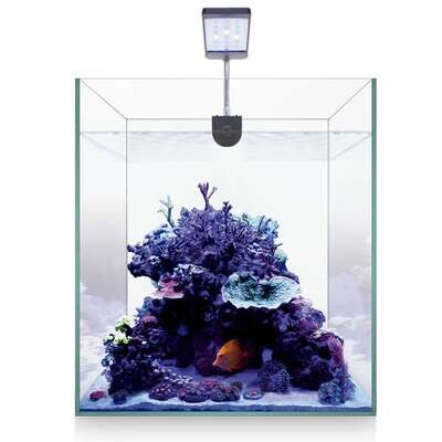 Kit NANO MARINE 30 29,7x29,7x35 cm