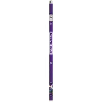 Fluorescente T5 MARINE BLUE 57