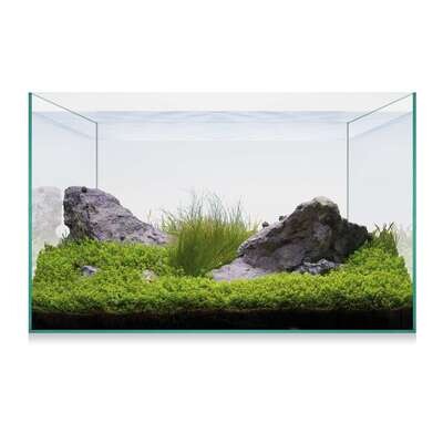 Kit AQUASCAPE BASIC 20 40x20x26 cm