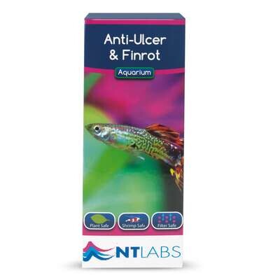 Tratamiento contra �lceras y podredumbre: Anti-Ulcer & Finrot de NTLABS
