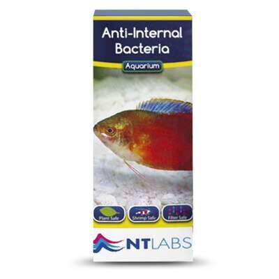 Tratamiento antibacteriano: Anti-Internal Bacteria de NTLABS