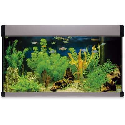 Kit AQUA LUX PRO 300 con filtro exterior 120x40x70 cm