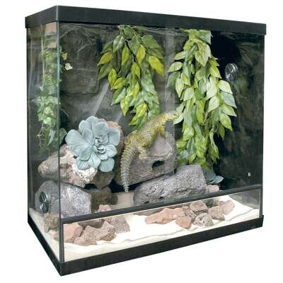 Kit para terrario REPTI-SELVA CRISTAL 50,8x29x41 cm