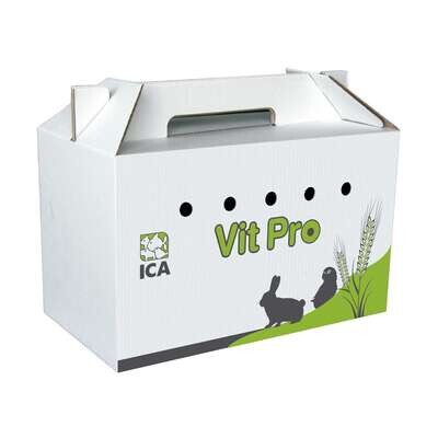 Transport�n de cart�n grande 30x18x16 cm