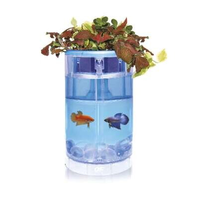 Kit Betta Flora LED 15x15x25 cm