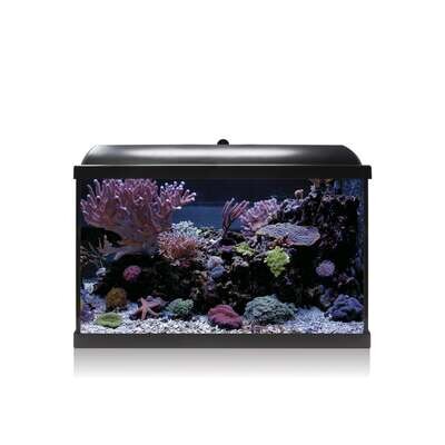 Kit Hydra 68 para agua salada 60x30,6x42,2 cm