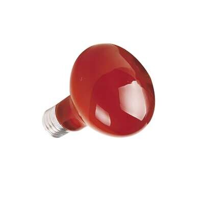 Bombilla infrarroja  50 W