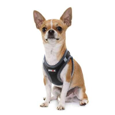 Arn�s NEO negro de XT-DOG 40,6 cm