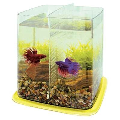 Bettera BETTA BATTLE PARADISE 21x21,5x21,5 cm