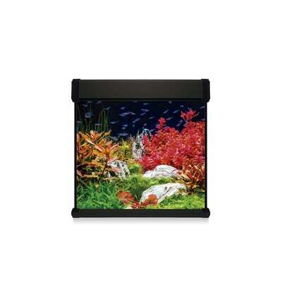 Kit AQUA LUX PRO 190 con filtro exterior 60x60x60 cm