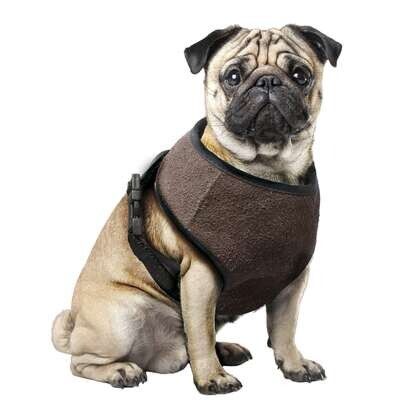 Arn�s Soft Polar XT-DOG L