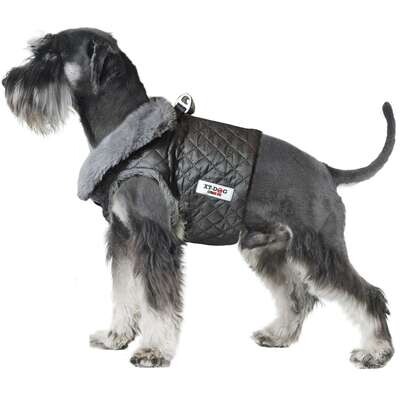 Arn�s WARM de XT-DOG  54 cm cuello