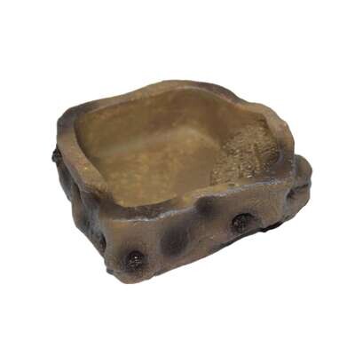 Comedero / Bebedero para reptiles 9x8,5x3 cm