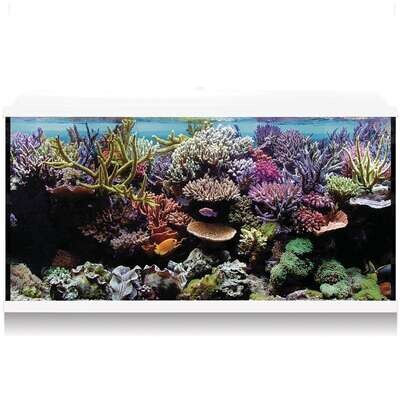 Kit Hydra 300 para agua salada 120x40x68,5 cm