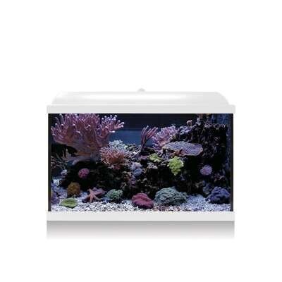 Kit Hydra 68 para agua salada 60x30,6x42,2 cm