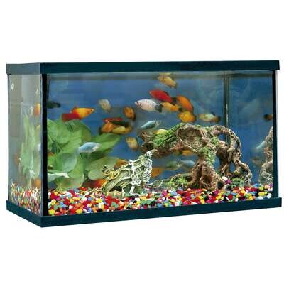 Acuario "happy pez" 35x20x21 cm