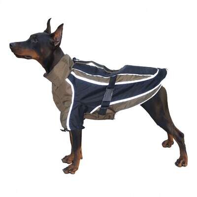 Abrigo Zeus XT-DOG 35