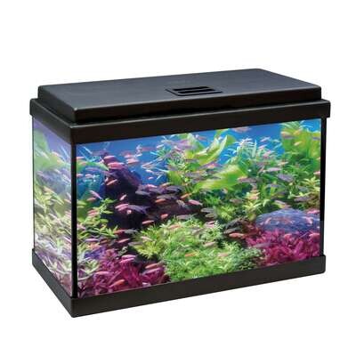 Kit AQUA LED 50 con filtro interior 49,9x24,7x29,5 cm