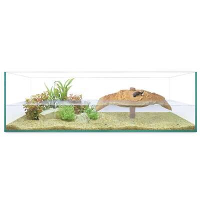 Tortuguera ISLA de REPTI SELVA 80x50x25 cm