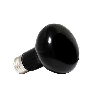 Bombilla de luz nocturna  100 W
