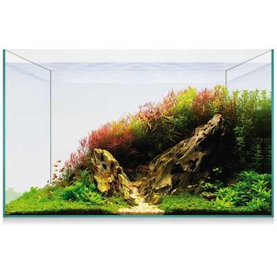 Urna AQUASCAPE BASIC 38 50x25x31 cm