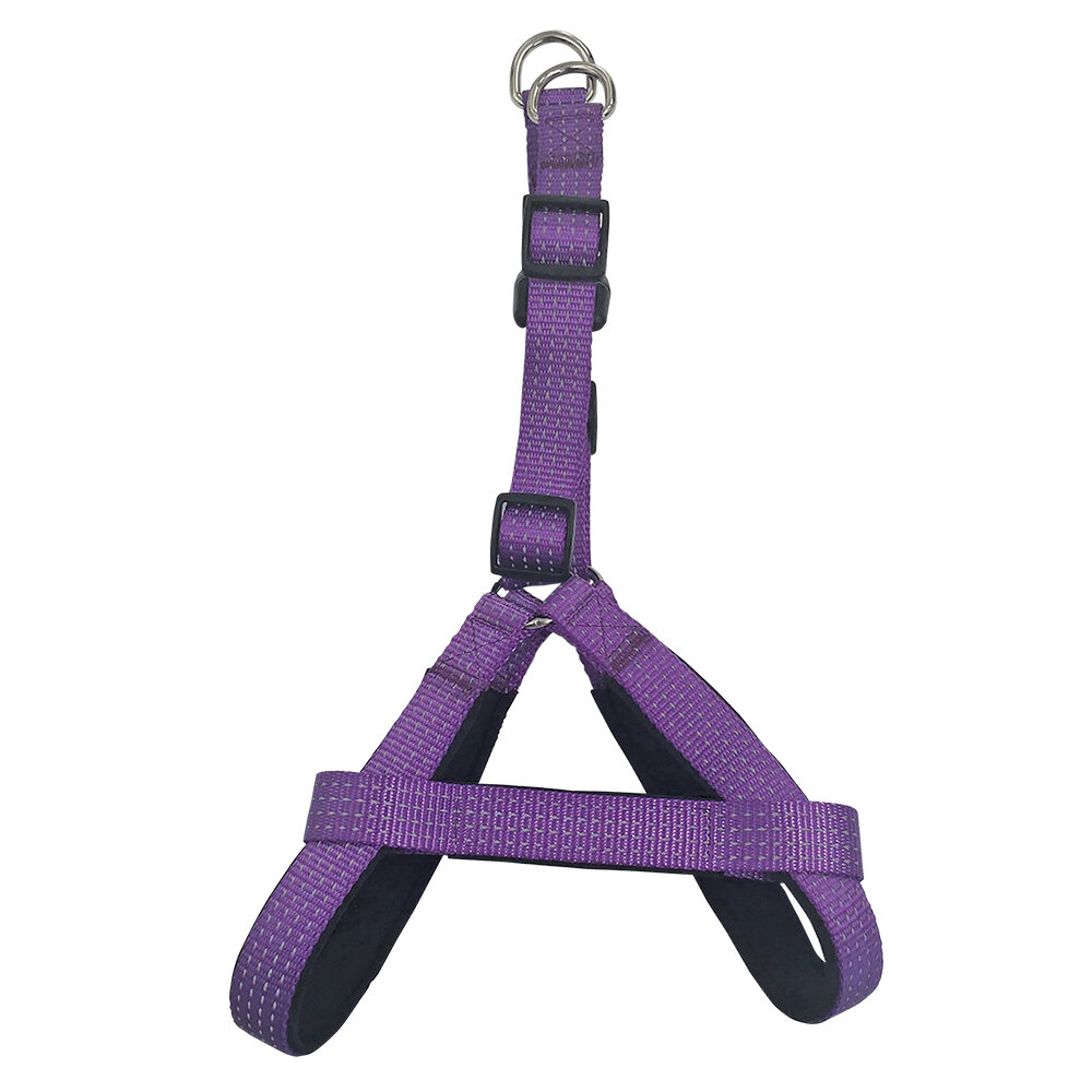 Arn�s morado - 2,5 x 55-75 cm