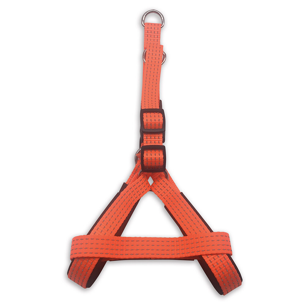 Arn�s naranja - 2,5 x 55-75 cm