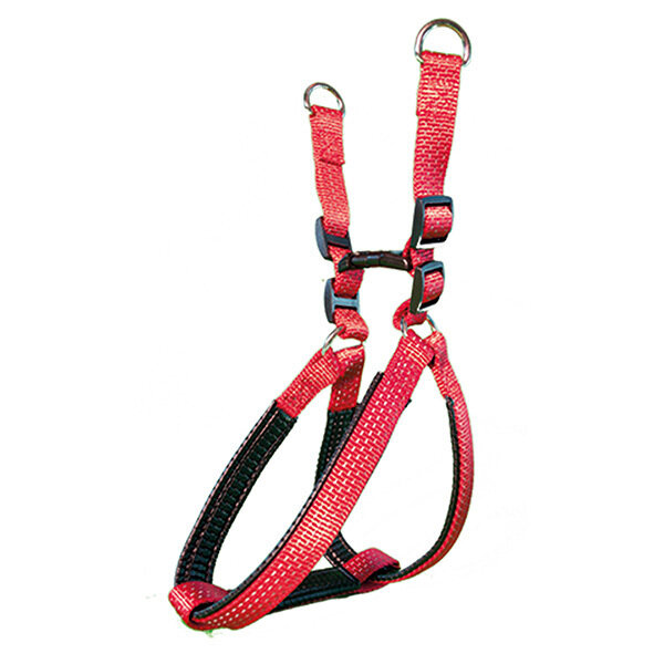 Arn�s nylon liso rojo - 1,5 x 40-50 cm