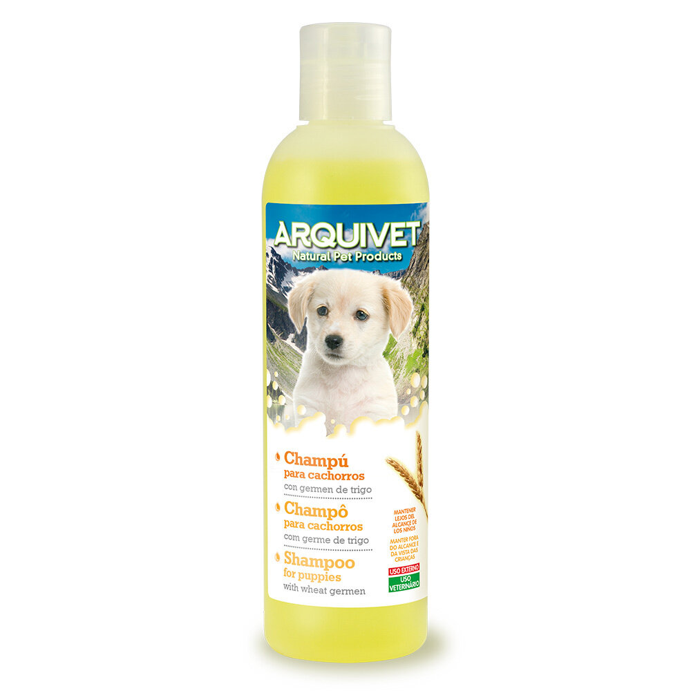 Champ� cachorros - 250 ml