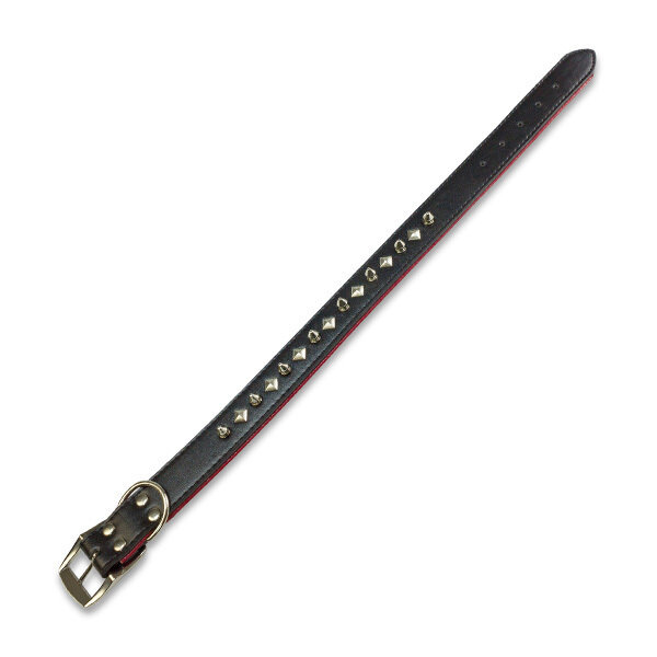 Collar piel p�as negro - 3,5 x 65 cm