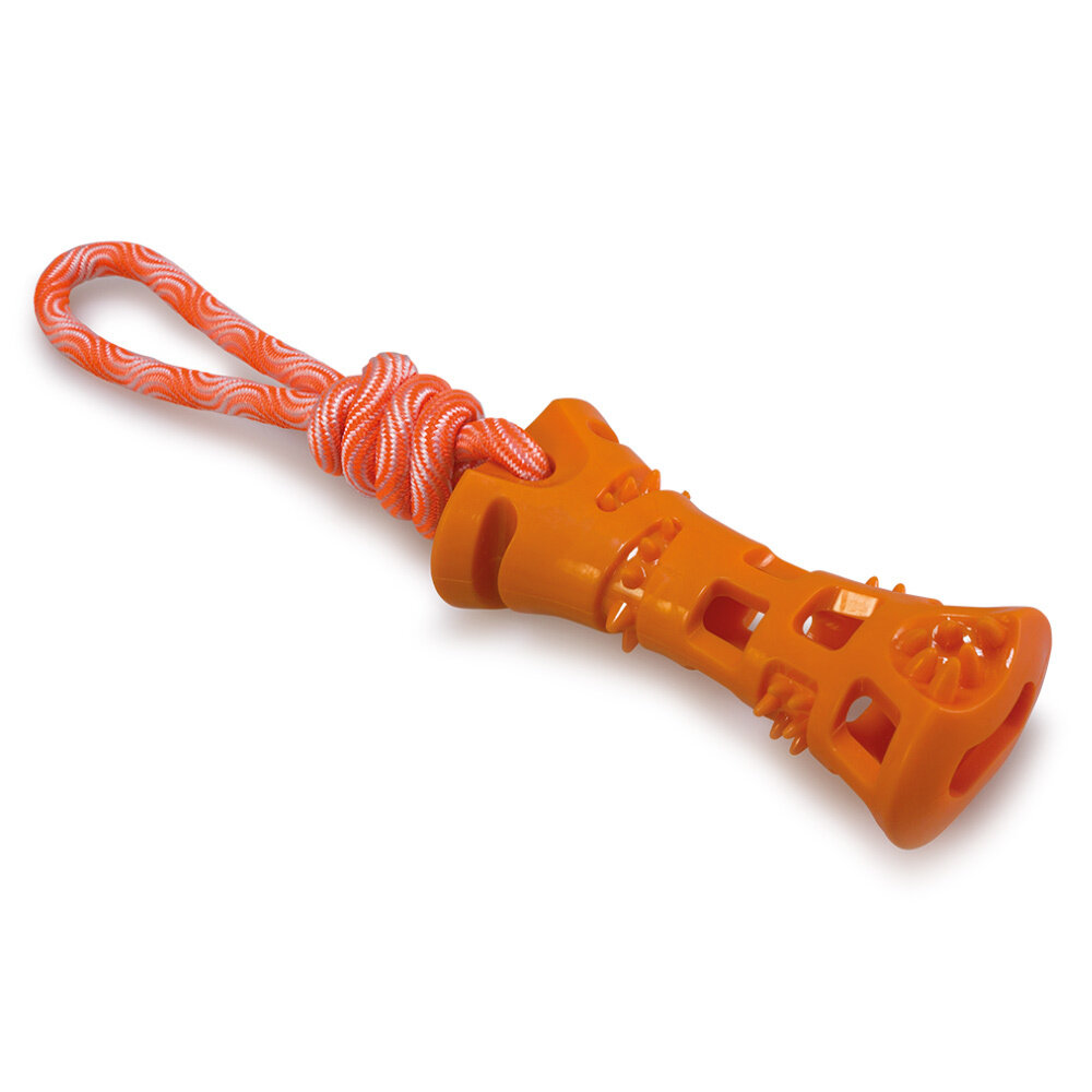 Hueso inter�ctivo