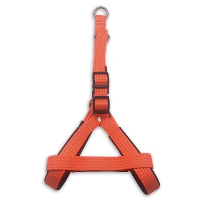 Arn�s naranja - 2 x 45-55 cm