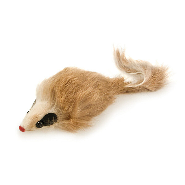 Rat�n peludo
