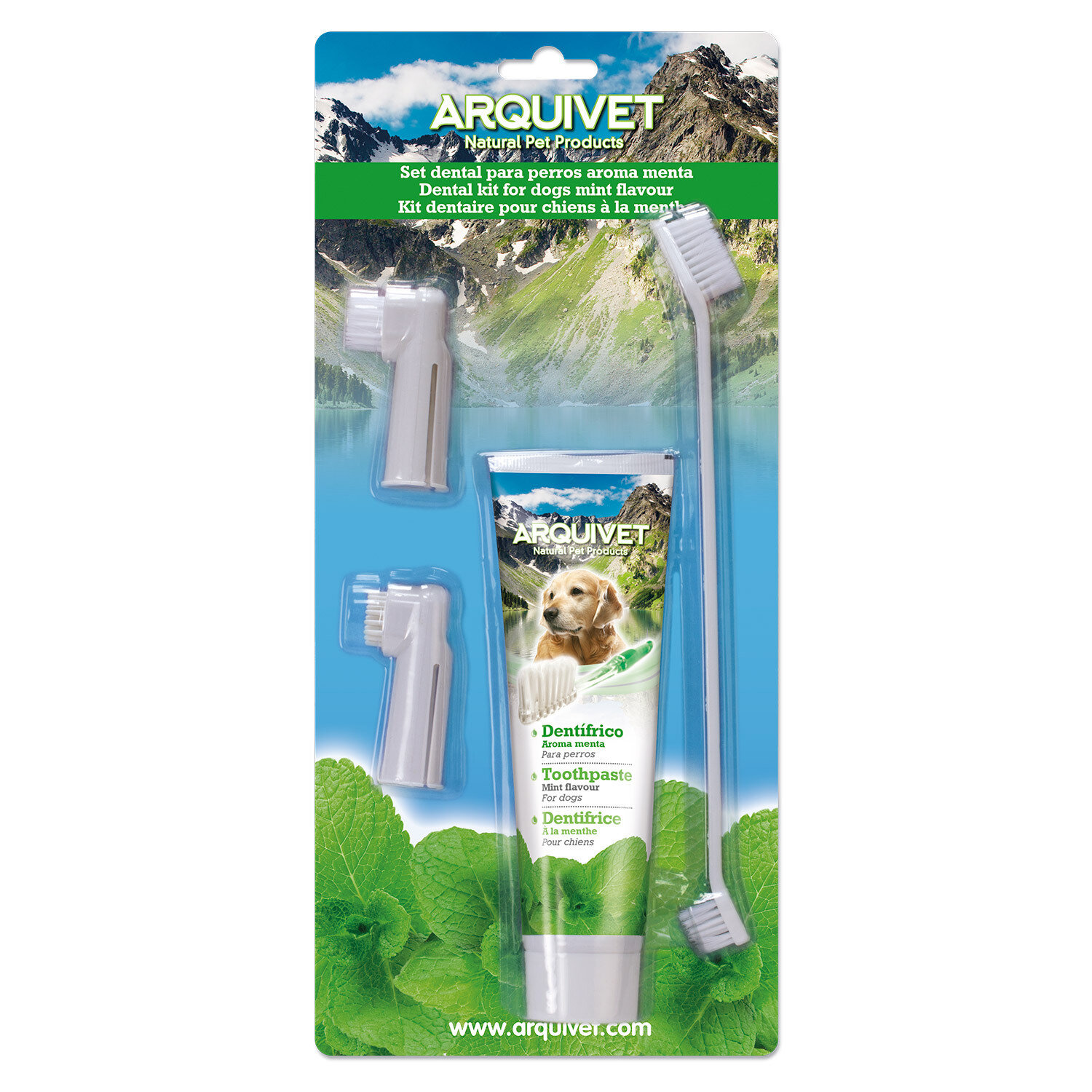 Set Dental menta