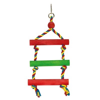 Escalera de color
