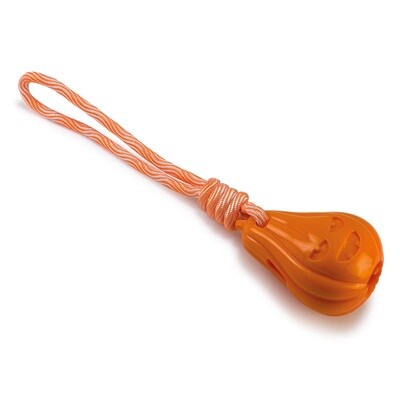 Calabaza con cuerda