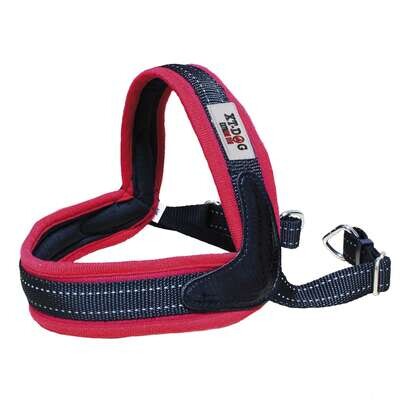 Arn�s Boomerang XT-DOG Cuello 36-44 cm Pecho 40-47 cm