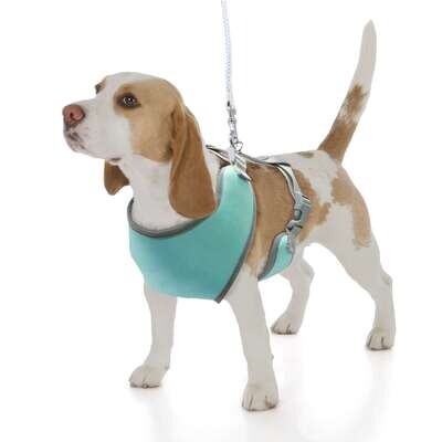 Arn�s Soft turquesa XT-DOG 15 cm