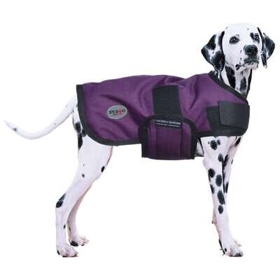 Abrigo Winter XT-DOG 35