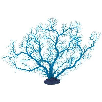 Gorgonia de ICA 43x30 cm