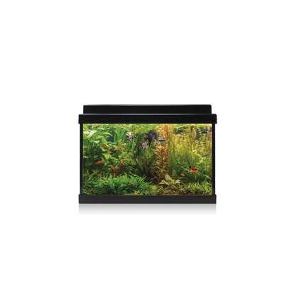 Kit AQUA LED 20 con filtro interior 40,7x20,2x29,2 cm