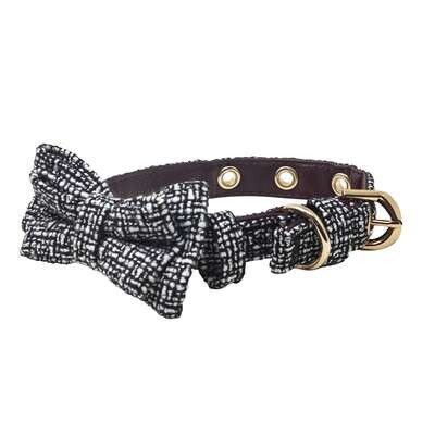 Collar Pajarita XT-DOG 50 cm