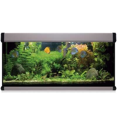 Kit AQUA LUX PRO 240 con filtro exterior 120x40x60 cm