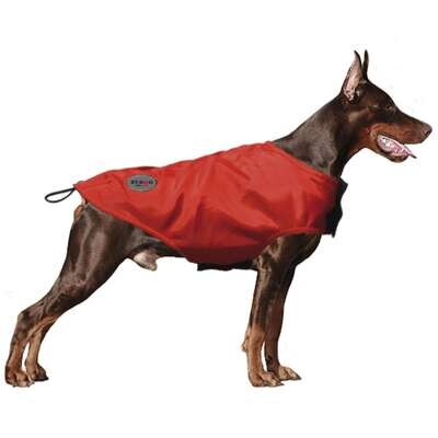 Abrigo Rain XT-DOG 50