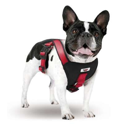 Arn�s Extreme XT-DOG Cuello 40 cm Pecho 46-56 cm