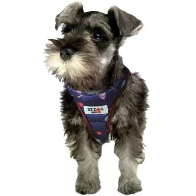 Arn�s Planetas de XT-DOG  26-29 cuello