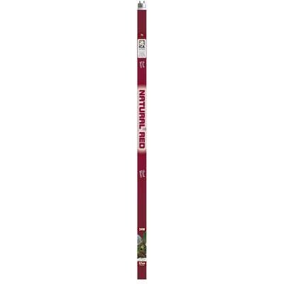 Fluorescente T5 NATURAL RED 147